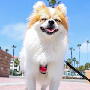 Meet your Posher, Leandra